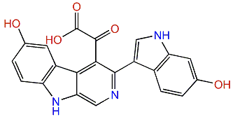 Hyrtioerectine A